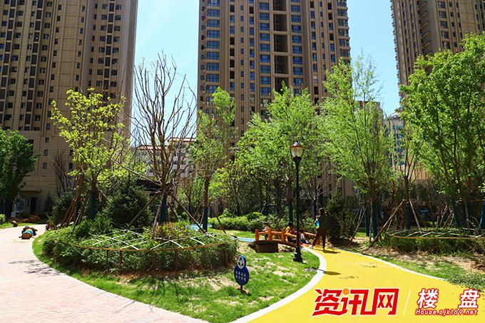 张家口商业综合体,张家口综合体