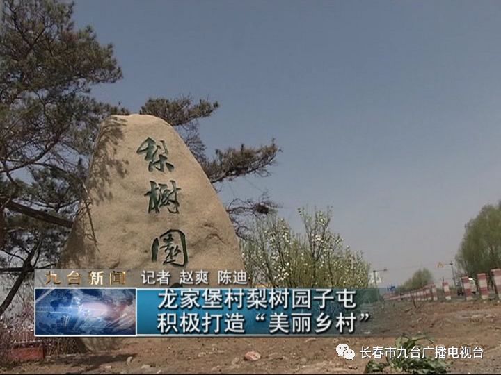 龙家堡村梨树园子屯积极打造“最美乡村”