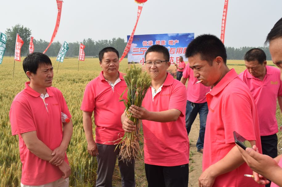 靠什么打动农户的心？三宁“取代进口”再战南阳！