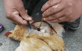 月入过万的高薪行业,冷门打工月入过万