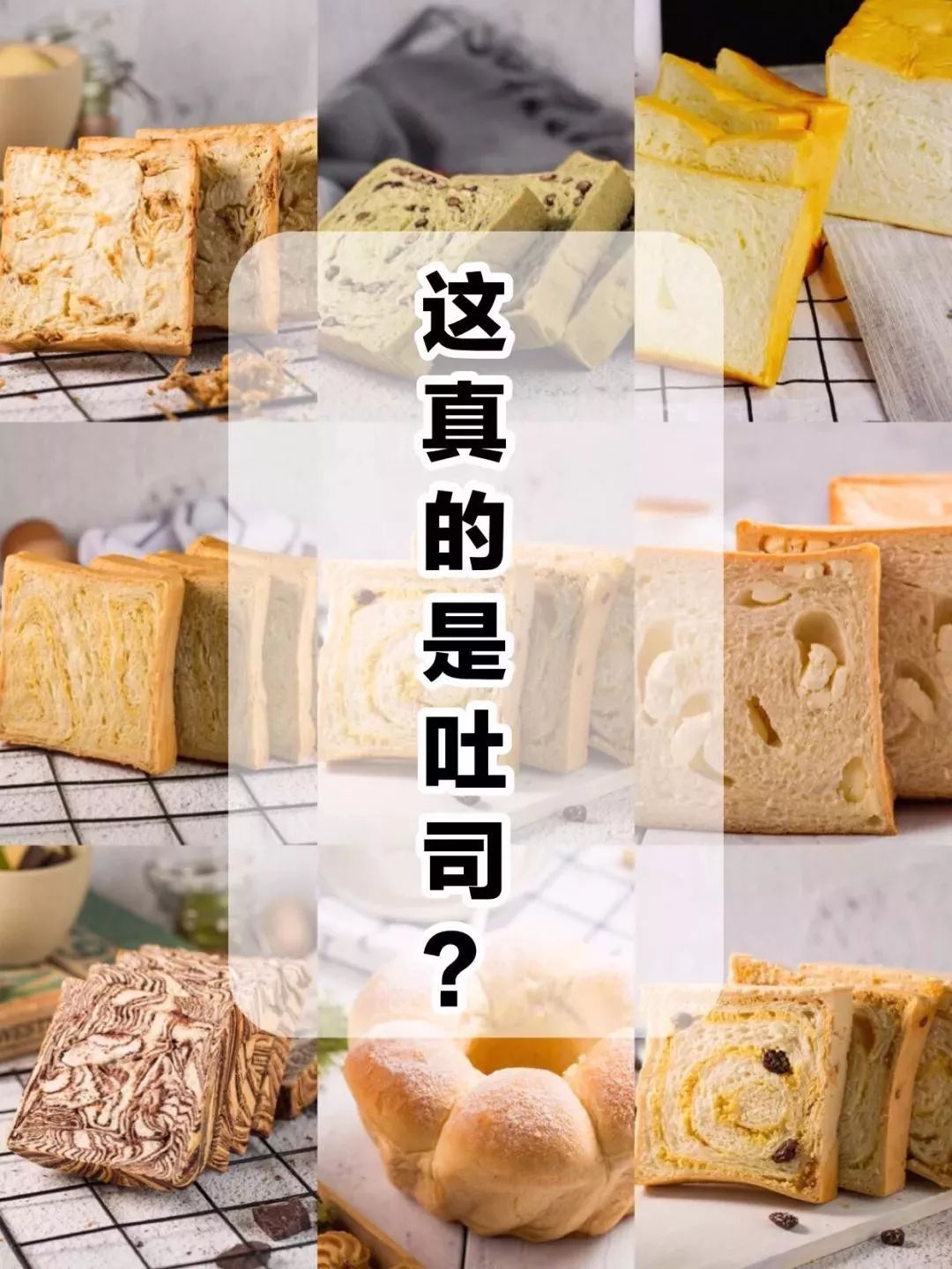 叉腰吧高新！这次你真的牛坏了！