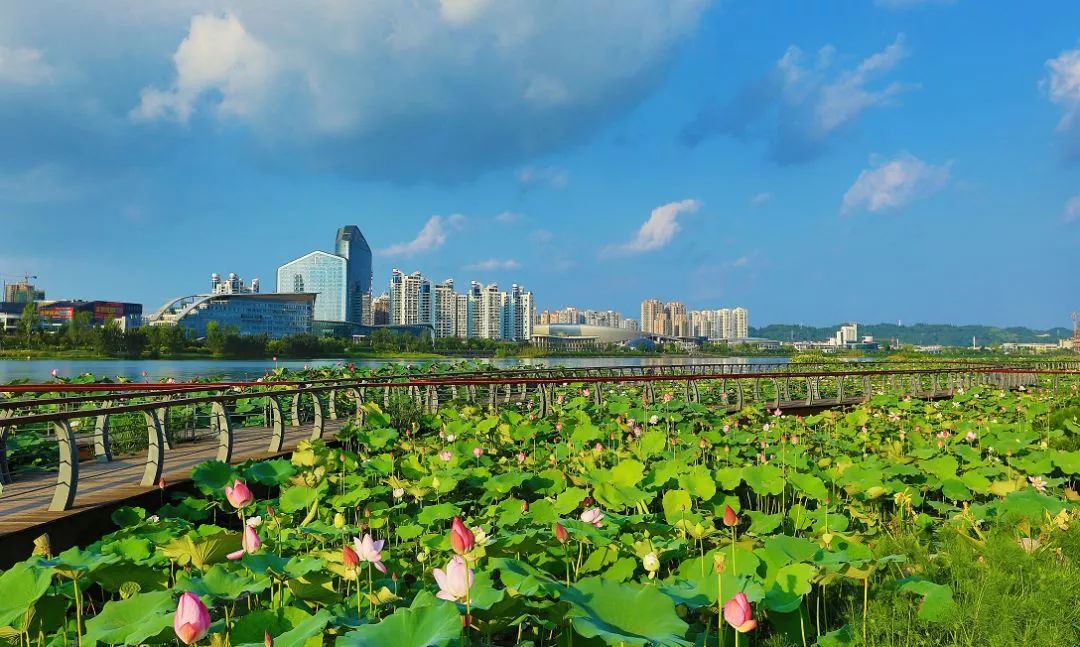 当四川人和重庆人见面,当四川人相遇