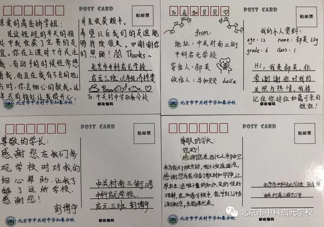 小初衔接学校活动,小初衔接