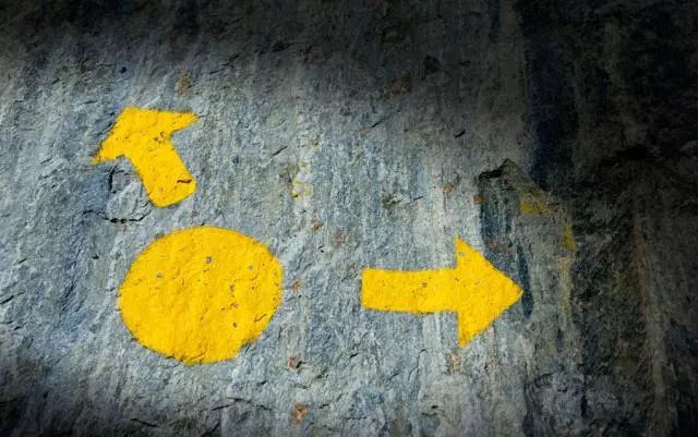 万达电影的深度分析,重塑辉煌和步入冰河