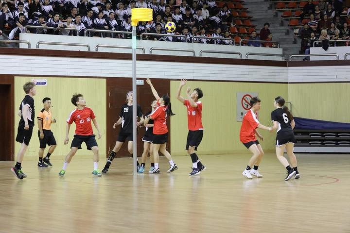 “荷”你一起国际荷球赛事在绍举行