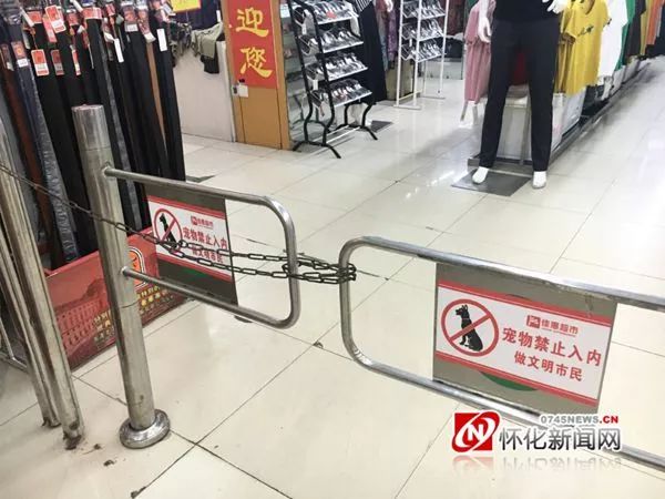 怀化关注｜怎能将宠物狗随意带进超市？