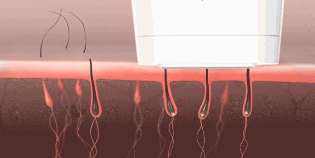 郑恺被何穗拒绝是哪一期,郑恺何穗最新微博