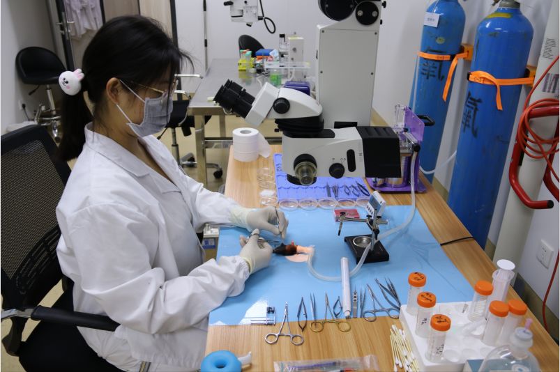 喝酒伤肝的权威研究,突破肝硬化防治新难关