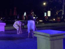 巴厘岛clubmed是什么,巴厘岛clubmed海滩