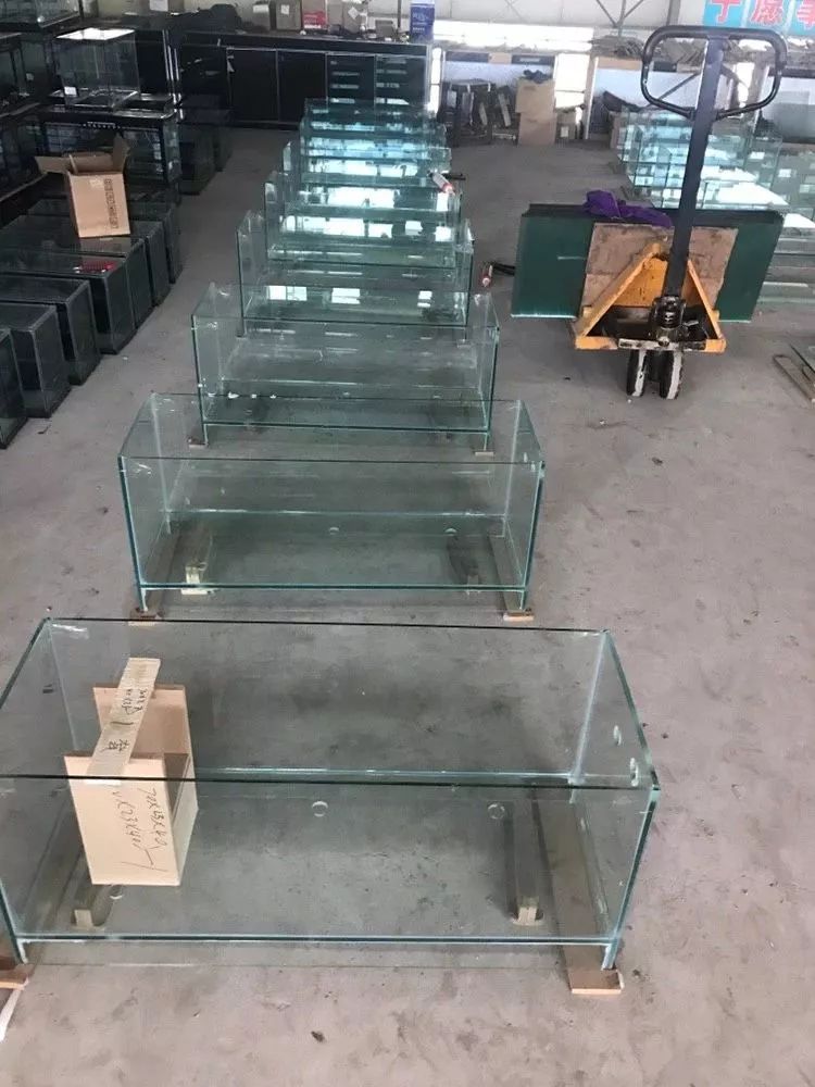 鱼缸生产制造过程,探秘jellycat工厂