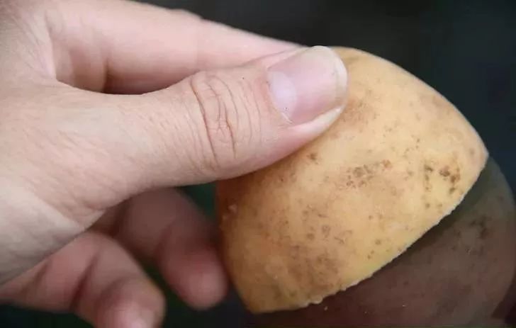 土豆在裤子上用什么方法擦掉,土豆在裤子上涂什么最好