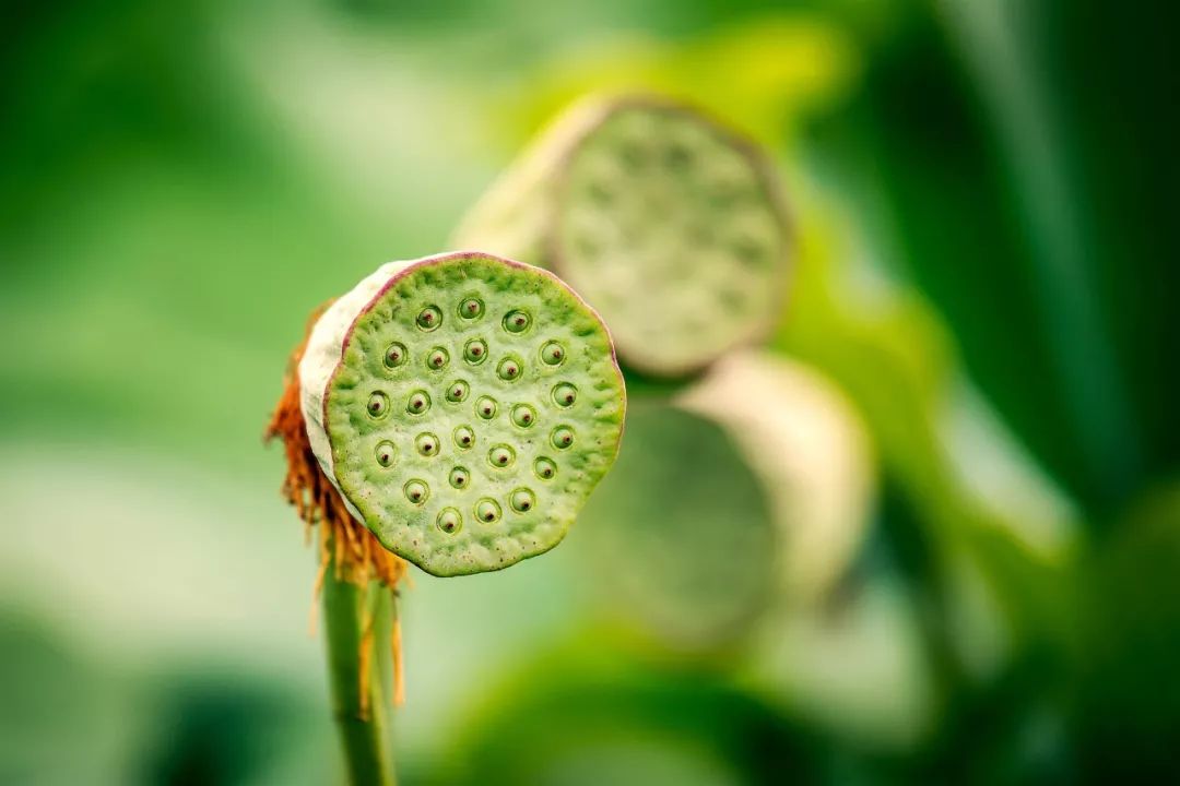 这个夏天必做的事,这个夏天必须要做的事情