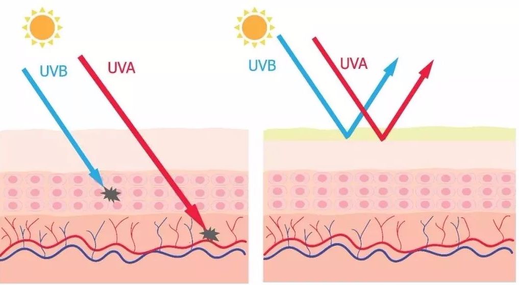 泰国防晒界“黑马”出击，防晒保湿，7天白成一道光