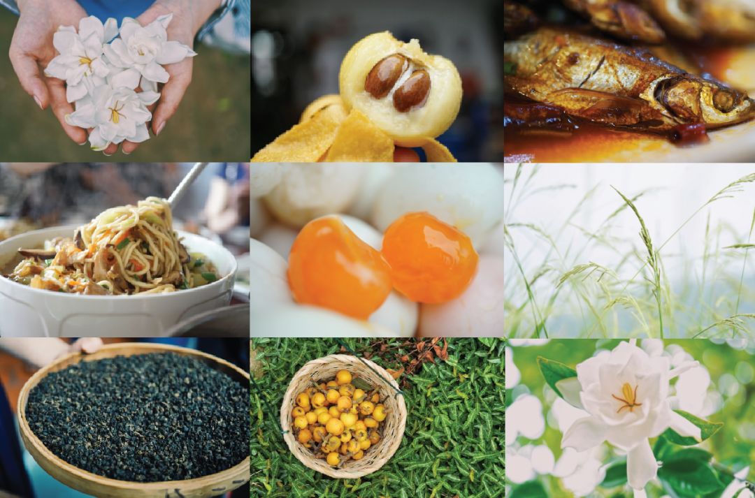 五月种草美食,五月种草的护肤品