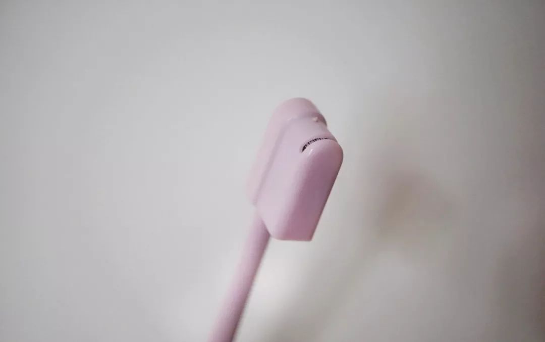 五月种草长沙,五月种草