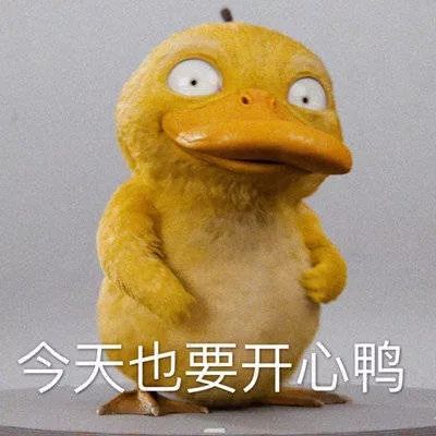 可达鸭脑壳疼,可达鸭头痛怎么回事