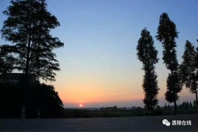 经典美文母亲,美文欣赏我的母亲