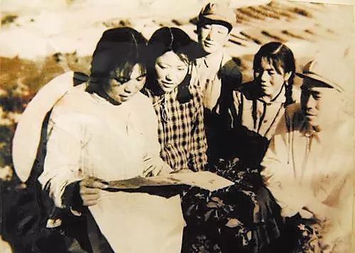 大坪的“绿色步伐——来自安定区青岚乡大坪村的蹲点报告