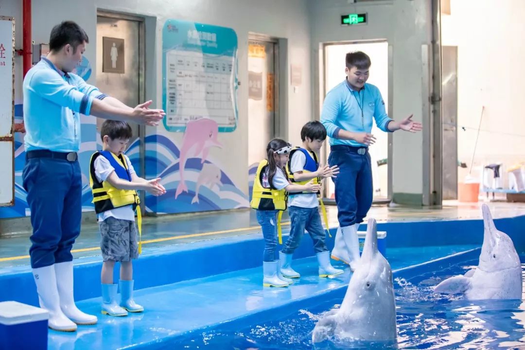 夏天哪个海岛最凉快,高温天气适合去哪旅游