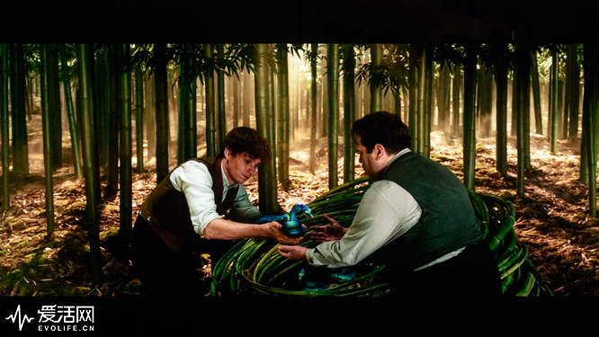 松下th65gz1000c系统,松下th-65dx880c电视怎么样