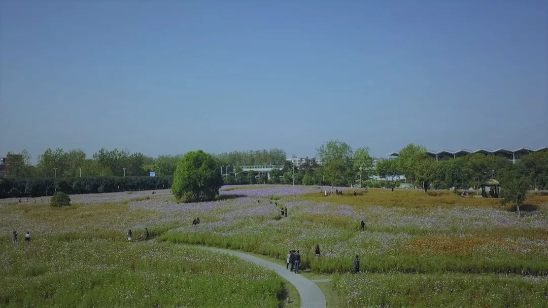 仙林大学城最新图,栖霞仙林大学城