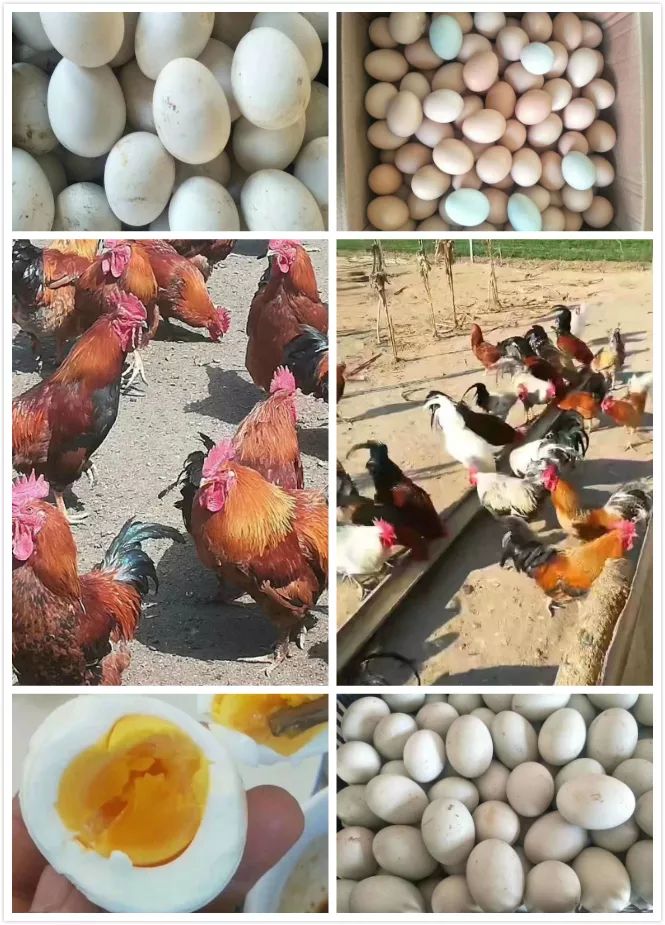 享遍奈曼美食,尽在吃货大联盟