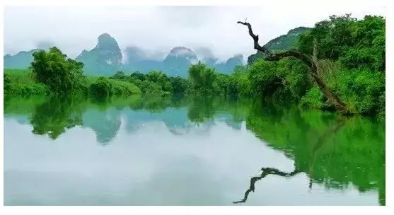 季羡林谈老年十忌,季羡林人到暮年有十忌