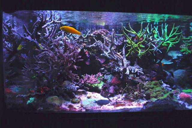 鉴定完毕！这一定是个有钱的主儿