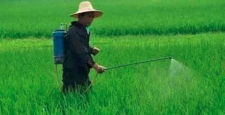 怎样清洗喷过玉米除草剂的喷雾器,如何清洗打过草甘膦的喷雾器