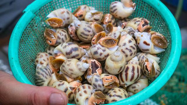 夏威夷之旅蔚蓝色的海,东方夏威夷海洋之心