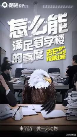 看，那些老人又在研究我们了|半日闲话