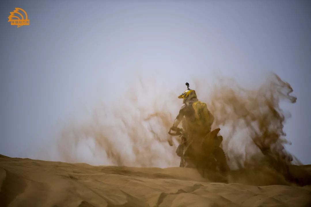 今日互动是什么,今日互动