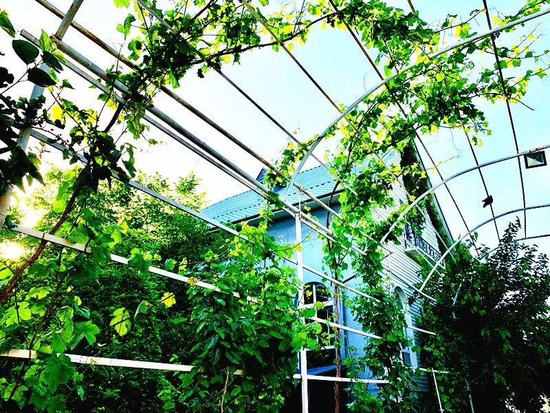 伊犁市便宜又好看的民宿,伊犁值得去的民宿