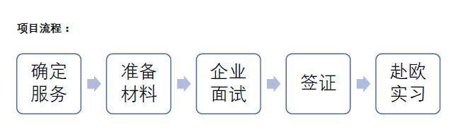 APPLYNOW丨板鸭最新理工文商科专业实习项目机会