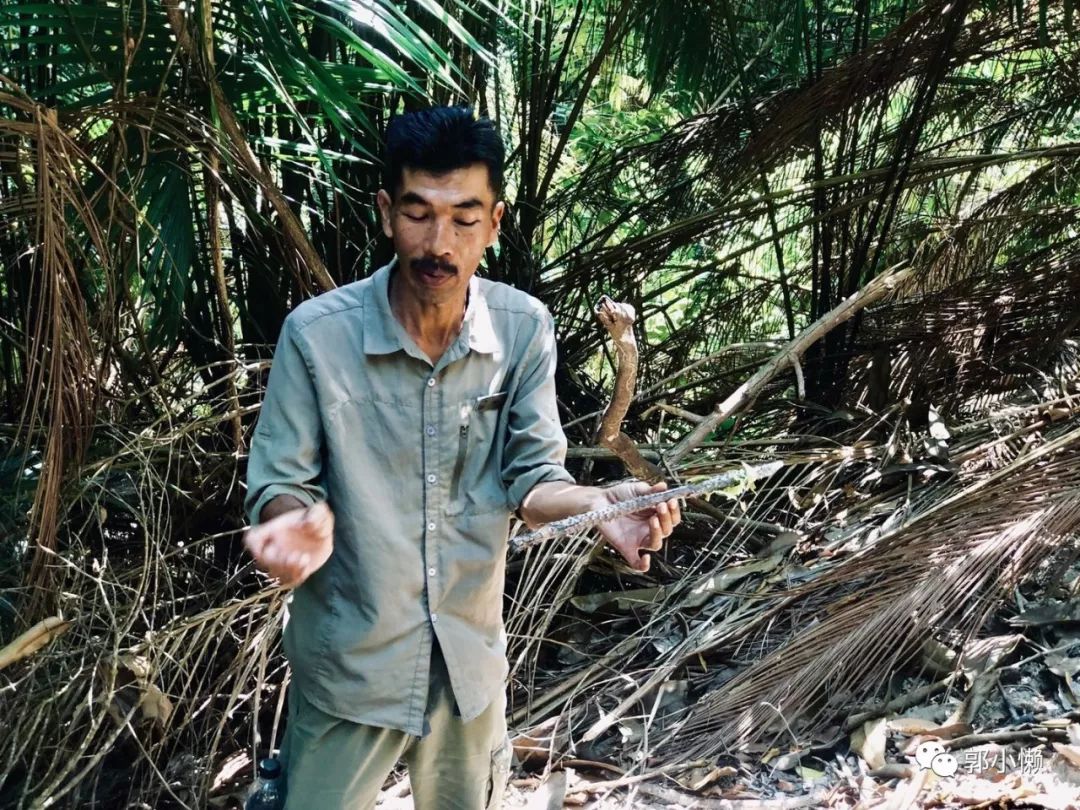 马来西亚绿中海度假村旅游多少钱,马来西亚绿中海度假村攻略