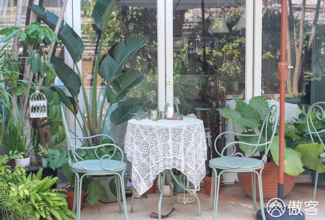 厦门有哪些拍照好看的地方,厦门十大拍照地方