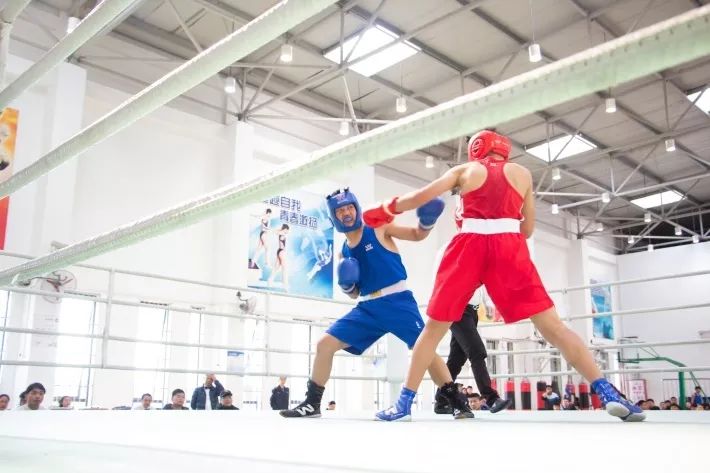 【招募】青浦区青少年业余训练队招生啦！