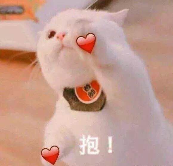 大s看起来年轻了,大s看着很高才162吗