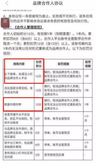 小红书对kol的扶持力度,小红书对kol有什么影响