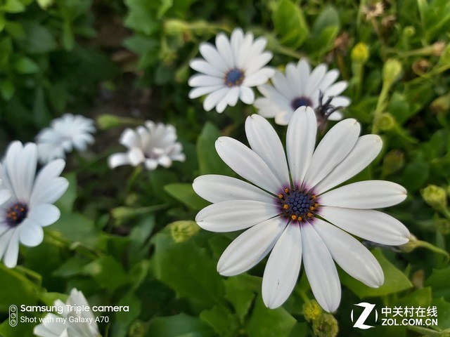 三星galaxya70s值得买吗,三星galaxya70s开箱测评