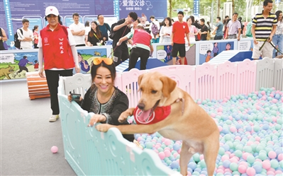 深圳爱宠领养日,深圳市民公约