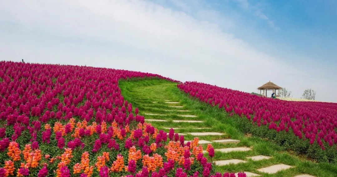 余杭免费的十大景点,老余杭附近游玩免费景点