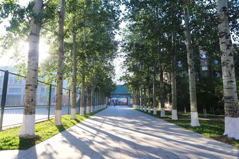 北京第二十中学高考成绩,北京市第20中学高考平均分