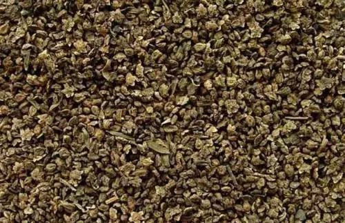 蚊虫叮咬快速止痒的中医方法,超好用的止痒消肿的药膏蚊虫叮咬