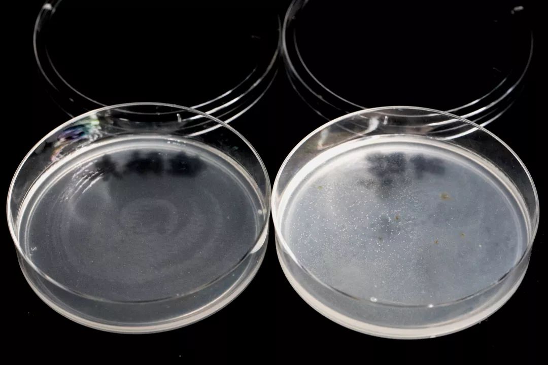 足癣药膏一天涂几次较好,湿疹性皮炎涂了一次药没效果