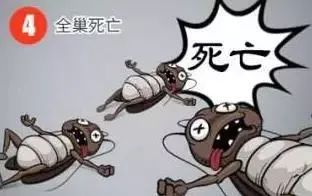 什么武器才能消灭蟑螂,制造消灭蟑螂的大型武器