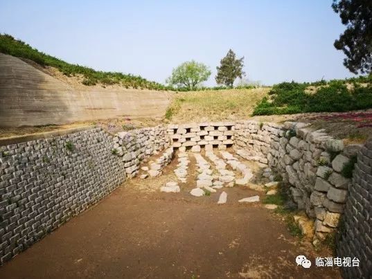 临淄梦幻花海,航拍临淄花海风景
