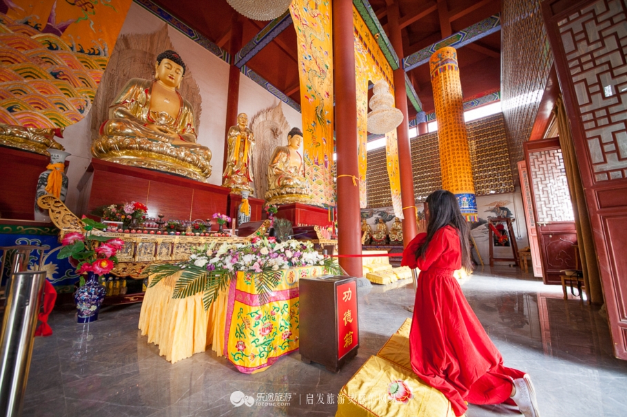 他让高寒干旱地开满牡丹花，打造西北牡丹第一园