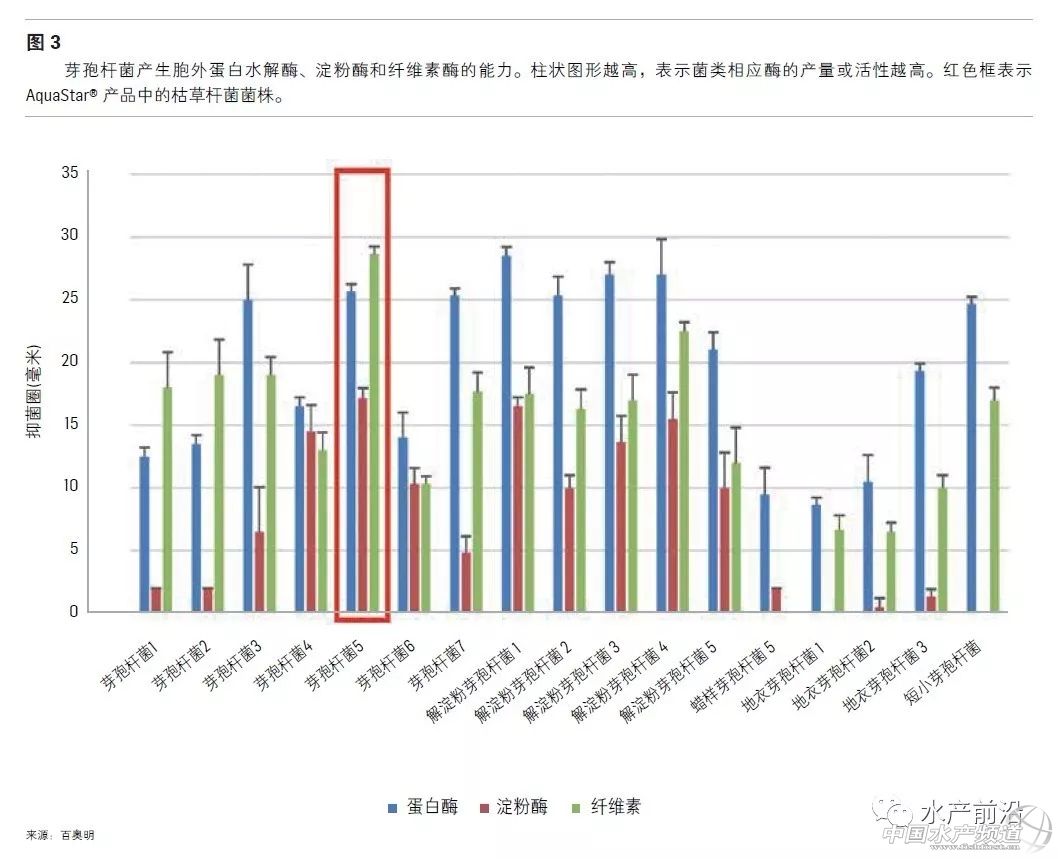 水产养殖用什么益生菌好,水产养殖复合益生菌
