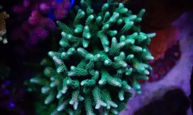 whatsapp时钟不正确怎么调,whatsapp显示版本过低